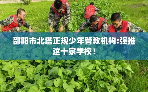 邵阳市北塔正规少年管教机构:强推这十家学校！