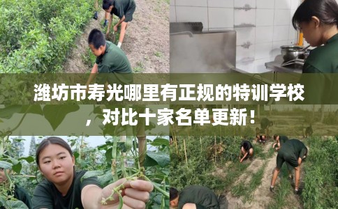 潍坊市寿光哪里有正规的特训学校，对比十家名单更新！