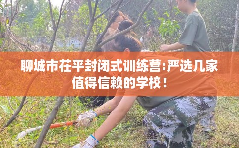 聊城市茌平封闭式训练营:严选几家值得信赖的学校！