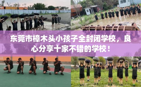 东莞市樟木头小孩子全封闭学校,良心分享十家不错的学校! 东莞市樟木头小孩子全封闭学校,良心分享十家不错的学校!