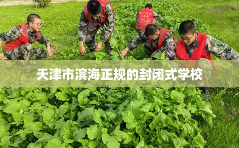 天津市滨海正规的封闭式学校 天津市滨海正规的封闭式学校