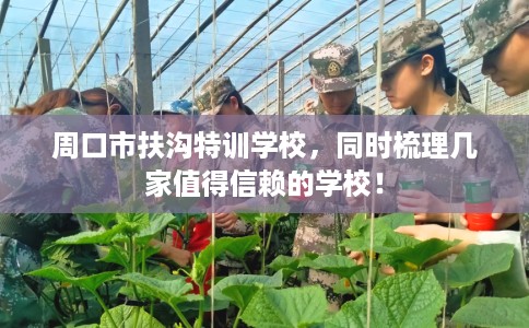 周口市扶沟特训学校,同时梳理几家值得信赖的学校! 周口市扶沟特训学校,同时梳理几家值得信赖的学校!