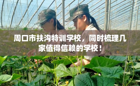 周口市扶沟特训学校,同时梳理几家值得信赖的学校! 周口市扶沟特训学校,同时梳理几家值得信赖的学校!