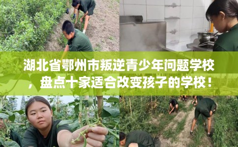 湖北省鄂州市叛逆青少年问题学校,盘点十家适合改变孩子的学校! 湖北省鄂州市叛逆青少年问题学校,盘点十家适合改变孩子的学校!