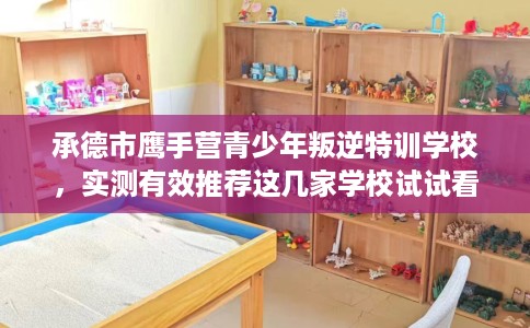 承德市鹰手营青少年叛逆特训学校,实测有效推荐这几家学校试试看! 承德市鹰手营青少年叛逆特训学校,实测有效推荐这几家学校试试看!