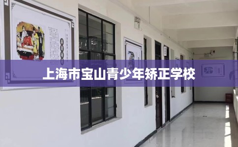 上海市宝山青少年矫正学校 上海市宝山青少年矫正学校