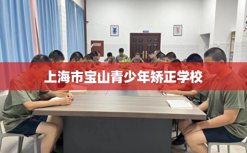 上海市宝山青少年矫正学校 上海市宝山青少年矫正学校