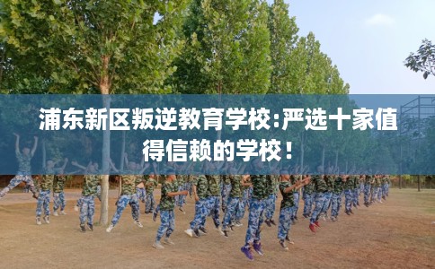 浦东新区叛逆教育学校:严选十家值得信赖的学校！