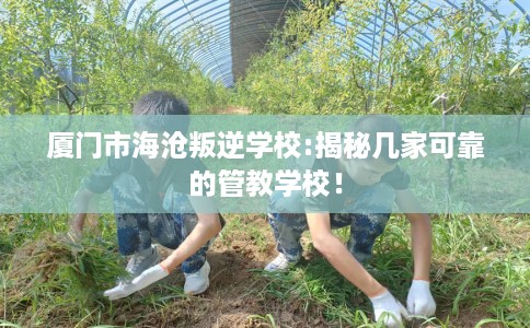 厦门市海沧叛逆学校:揭秘几家可靠的管教学校! 厦门市海沧叛逆学校:揭秘几家可靠的管教学校!
