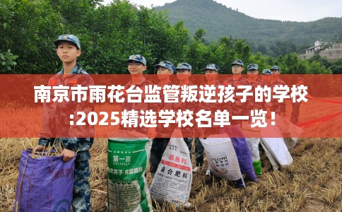 南京市雨花台监管叛逆孩子的学校:2025精选学校名单一览! 南京市雨花台监管叛逆孩子的学校:2025精选学校名单一览!