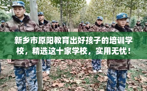 新乡市原阳教育出好孩子的培训学校，精选这十家学校，实用无忧！