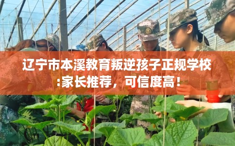 辽宁市本溪教育叛逆孩子正规学校:家长推荐，可信度高！