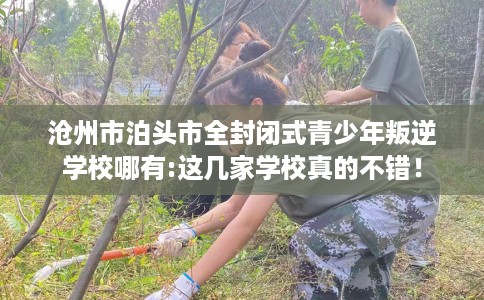 沧州市泊头市全封闭式青少年叛逆学校哪有:这几家学校真的不错！