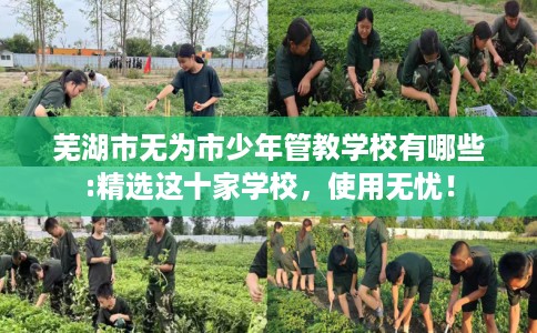 芜湖市无为市少年管教学校有哪些:精选这十家学校，使用无忧！