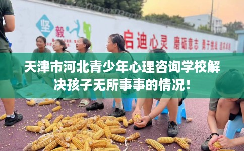 天津市河北青少年心理咨询学校解决孩子无所事事的情况！