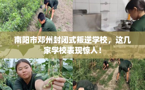 南阳市邓州封闭式叛逆学校,这几家学校表现惊人! 南阳市邓州封闭式叛逆学校,这几家学校表现惊人!