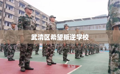 武清区希望叛逆学校 武清区希望叛逆学校