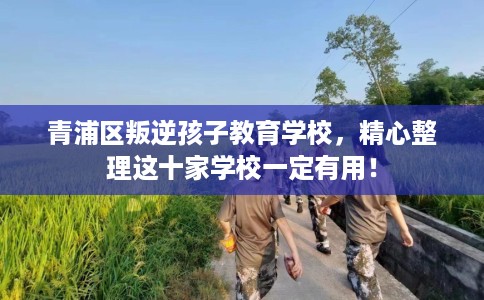青浦区叛逆孩子教育学校，精心整理这十家学校一定有用！
