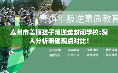 泰州市姜堰孩子叛逆送封闭学校:深入分析明确观点对比！