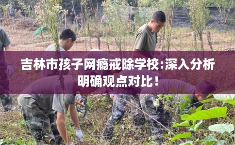 吉林市孩子网瘾戒除学校:深入分析明确观点对比！