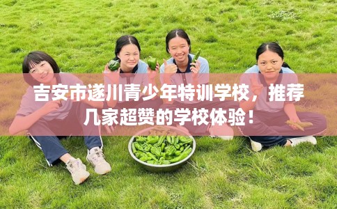 吉安市遂川青少年特训学校，推荐几家超赞的学校体验！