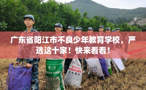 广东省阳江市不良少年教育学校，严选这十家！快来看看！