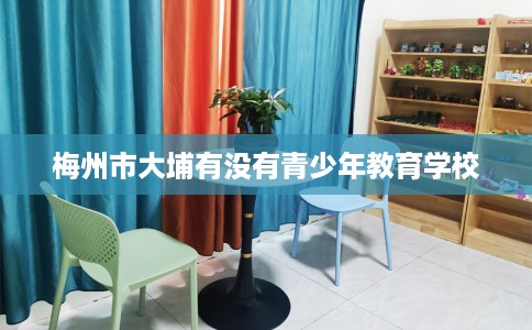 梅州市大埔有没有青少年教育学校