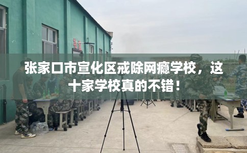 张家口市宣化区戒除网瘾学校,这十家学校真的不错! 张家口市宣化区戒除网瘾学校,这十家学校真的不错!