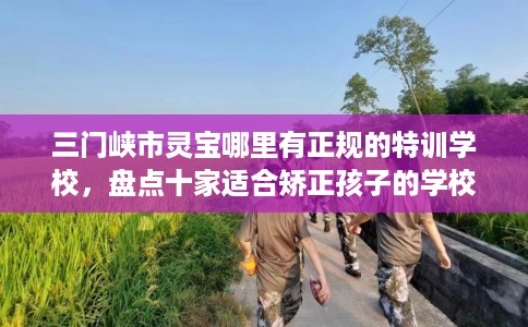 三门峡市灵宝哪里有正规的特训学校，盘点十家适合矫正孩子的学校！