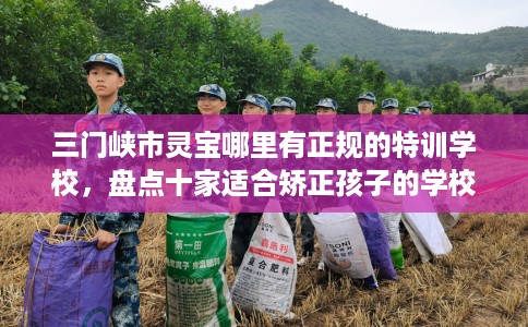 三门峡市灵宝哪里有正规的特训学校，盘点十家适合矫正孩子的学校！