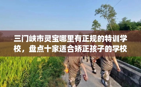 三门峡市灵宝哪里有正规的特训学校，盘点十家适合矫正孩子的学校！