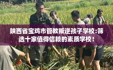 陕西省宝鸡市管教叛逆孩子学校:筛选十家值得信赖的素质学校！