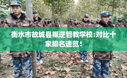 衡水市故城县叛逆管教学校:对比十家排名速览! 衡水市故城县叛逆管教学校:对比十家排名速览!