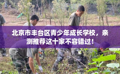 北京市丰台区青少年成长学校，亲测推荐这十家不容错过！