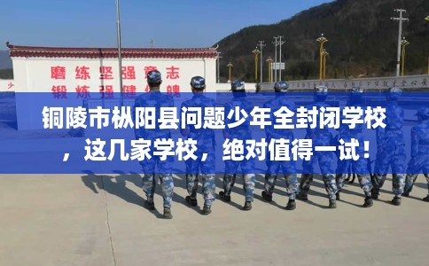 铜陵市枞阳县问题少年全封闭学校,这几家学校,绝对值得一试! 铜陵市枞阳县问题少年全封闭学校,这几家学校,绝对值得一试!