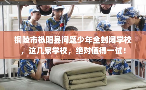 铜陵市枞阳县问题少年全封闭学校,这几家学校,绝对值得一试! 铜陵市枞阳县问题少年全封闭学校,这几家学校,绝对值得一试!