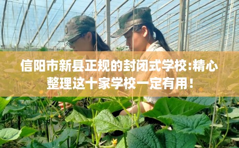 信阳市新县正规的封闭式学校:精心整理这十家学校一定有用！