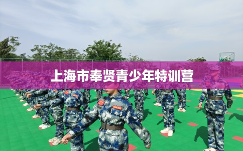 上海市奉贤青少年特训营 上海市奉贤青少年特训营