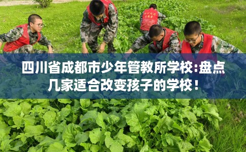 四川省成都市少年管教所学校:盘点几家适合改变孩子的学校! 四川省成都市少年管教所学校:盘点几家适合改变孩子的学校!