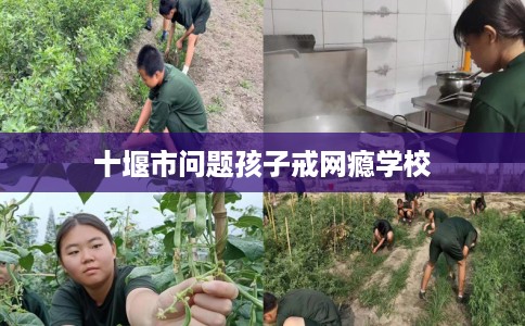 十堰市问题孩子戒网瘾学校 十堰市问题孩子戒网瘾学校