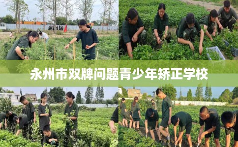 永州市双牌问题青少年矫正学校 永州市双牌问题青少年矫正学校