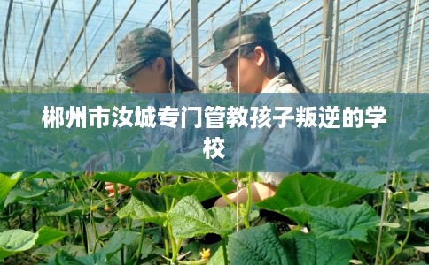 郴州市汝城专门管教孩子叛逆的学校 郴州市汝城专门管教孩子叛逆的学校