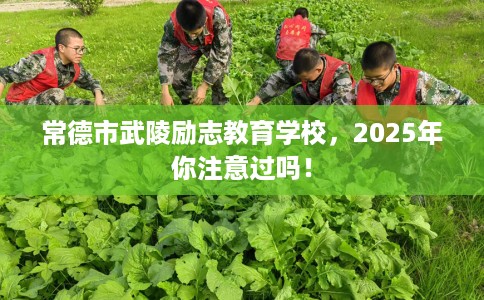 常德市武陵励志教育学校,2025年你注意过吗! 常德市武陵励志教育学校,2025年你注意过吗!