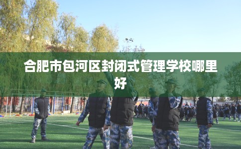 合肥市包河区封闭式管理学校哪里好 合肥市包河区封闭式管理学校哪里好