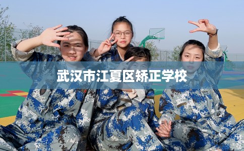 武汉市江夏区矫正学校 武汉市江夏区矫正学校