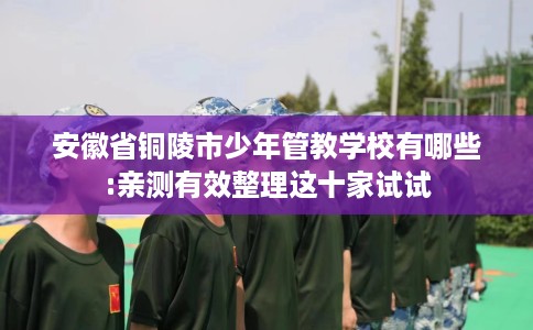 安徽省铜陵市少年管教学校有哪些:亲测有效整理这十家试试