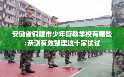安徽省铜陵市少年管教学校有哪些:亲测有效整理这十家试试