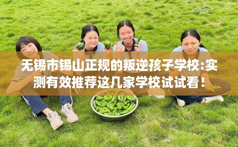 无锡市锡山正规的叛逆孩子学校:实测有效推荐这几家学校试试看! 无锡市锡山正规的叛逆孩子学校:实测有效推荐这几家学校试试看!