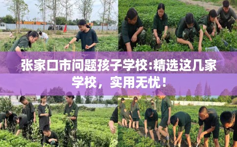 张家口市问题孩子学校:精选这几家学校，实用无忧！
