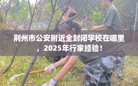 荆州市公安附近全封闭学校在哪里,2025年行家经验! 荆州市公安附近全封闭学校在哪里,2025年行家经验!